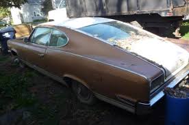 Image result for Marina Aqua 1967 AMC