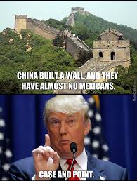 Let S Build A Wall Donald Trump Memes Included Casual Mtg Deck