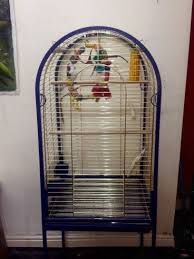 First, be sure to ask to visit the breeder where the parents of the the starting price for a purebred shepherd is around $3k and can go all the way up to $24k. Large Decorative Bird Cages For Sale Cheap Bird Cages For Sale Large Bird Cages Bird Cage Decor