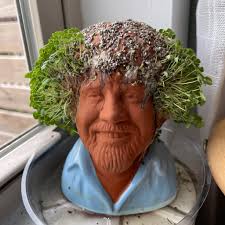 Chia pet found while thrifting