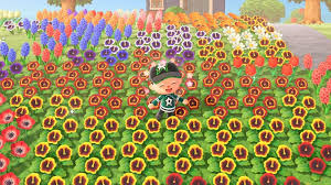 New horizons (acnh) for nintendo switch. How To Create Hybrid Flowers In Animal Crossing New Horizons Guide Stash
