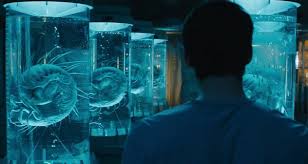 20th century fox is excited to debut the highly anticipated first trailer for the upcoming film, the maze runner: Watch Now First Maze Runner The Scorch Trials Trailer