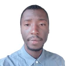 Meet the Panelists: Quasi-Moon Naming Contest