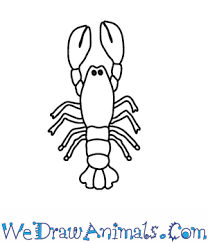 Allow each set of lines to meet in a sharp point. How To Draw A Lobster