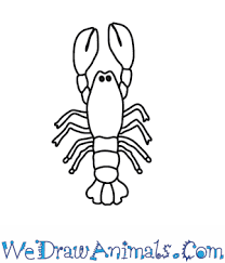 Maybe you would like to learn more about one of these? How To Draw A Lobster
