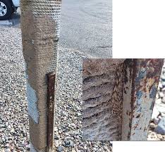 That's not possible for everyone. Termite Tubes Photo Roundup From Pmps