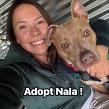 Sushi recommendations for non-raw fish lovers