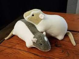 Pin On Rats