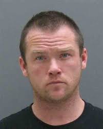 Holland man gets 1 year in jail for theft