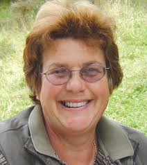 Christchurch city councillors, community board members claim $30,000 for  mileage costs