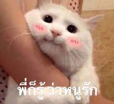 slow)โบ๊ะบ๊ะแฟมิลี่ | unofficial on X: ตี้วันนี้ (13 ตุลา) มี: พี่เอก #hrk  พี่เจม #Jamezconer พี่ปะเต้ #iamSometimes พี่เอฟ #BrOwnii3z พี่พี #MrYearn  พี่ก้า #CigaretteSKla พี่แพทตี้ #Patiizz พี่กาย #Zylnazter พี่น้าหมู  #BasGamer พี่เบส #1000PRUENI ...