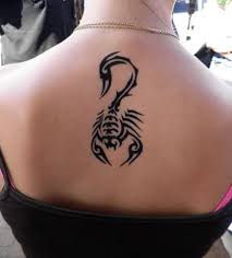 But life is imperfect so i'm ok with it (plus the perfection of the flower totally and completely makes up for it). Scorpion Tattoo Meanings Ideas And Unique Designs Tatring
