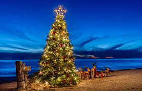 We did not find results for: Hd Wallpaper Holiday Christmas Beach Christmas Tree Horizon Ocean Sky Wallpaper Flare