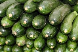 Yes, as long as your dog isn't allergic to zucchinis, they can safely have some! Can Dogs Eat Squash And Zucchini