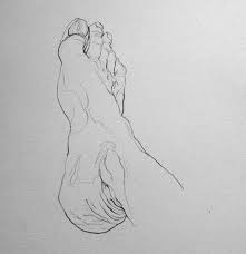 Pin By Eleanor Covert On Drawing Contour Line Drawing Art Drawings Contour Drawing