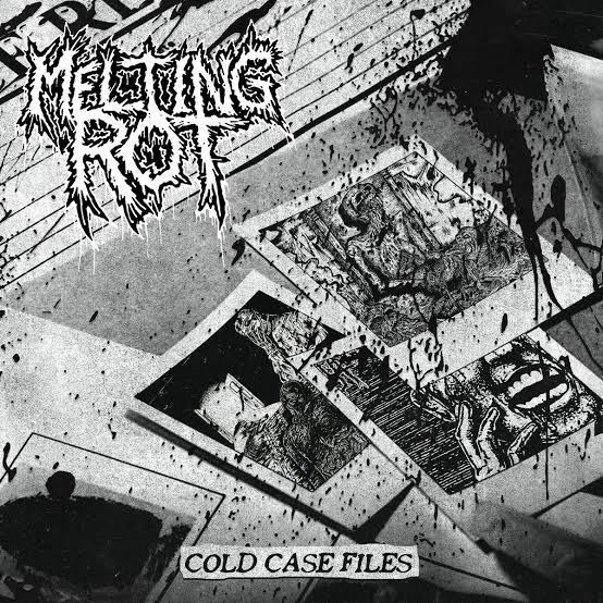 Cold Case Files | MELTING ROT