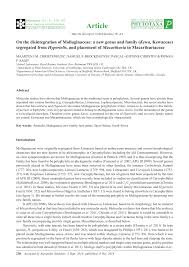 Image result for Hypertelis bowkeriana