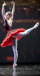 Graduated canvas print by elza fouche | icanvas. Christina Kretova De Twitter Ballet Dance Photography Dance Poses Dance Photography