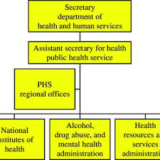Organizational Structure Of The Phs And The Office Of The