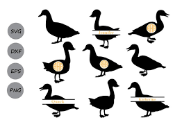 You can download in.ai,.eps,.cdr,.svg,.png formats. Duck Svg Cut File Duck Monogram Frames Duck Clipart 86379 Cut Files Design Bundles