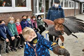 So wird das wetter morgen in 42549 velbert (mitte). Greifvogel Zu Besuch Bei Der Regenbogenschule Velbert
