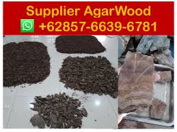 * send an inquiry to this supplier. Agarwood Suppliers In Dubai Suppliers 62 857 6639 6781 Whasapp