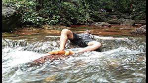 Start your free trial today and get unlimited access to america's largest dictionary, with:. Udear Springs Waterfall Verna Salcette Goa Youtube