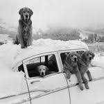 We did not find results for: Pet Care Center At Luna Park Petcarecenter Profile Pinterest