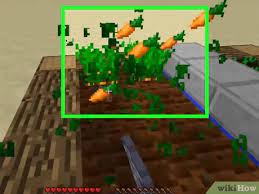 4 Ways To Plant Seeds In Minecraft Wikihow