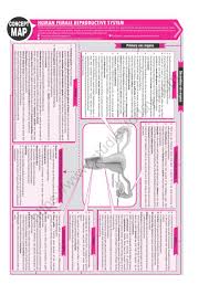 Neet Biology Human Female Reproductive System Concept Map