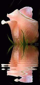 Check spelling or type a new query. Animated Flowers And Reflection Flowers Beautiful Flowers Animation Animated Flowers Beautiful Flowers Flowers Gif Amazing Flowers