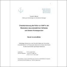 Configure your kitchen's work triangle with updated appliances to make kitchen tasks even easier. Charakterisierung Der Rolle Von Xiap In Der Modulation Des Entzundlichen Zelltodes Und Dessen Konsequenzen