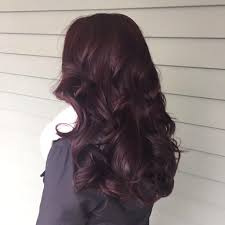 Dark Brown W Dark Red Tint Red Tint Hair Hair Tint Hair Color Dark