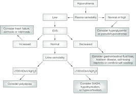 flowchart of the diagnostic work up for hyponatremia