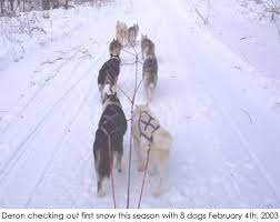 Before making the investment, contact your local dog sledding club. How To Make A Sled Dog Harness Out Of Rope