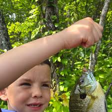 ᐅ Pinnacle Lake fishing reports🎣• Brevard, SC (United States) fishing