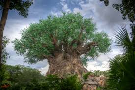 Comments for the tree of life wallpaper. 50 Disney Tree Of Life Wallpaper On Wallpapersafari