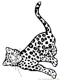 Free coloring sheets to print and download. Lion Tiger Coloring Page 018 Coloring Page For Kids Free Jaguar Printable Coloring Pages Online For Kids Coloringpages101 Com Coloring Pages For Kids