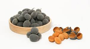 Image result for Dialium