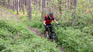 Image result for svat  hubert