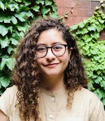 Local Government Restructuring Lab