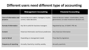 Best Accounting Department Organization Chart Google