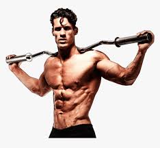 Maybe you would like to learn more about one of these? Transparent People Working Out Png Exercise Png Download Transparent Png Image Pngitem