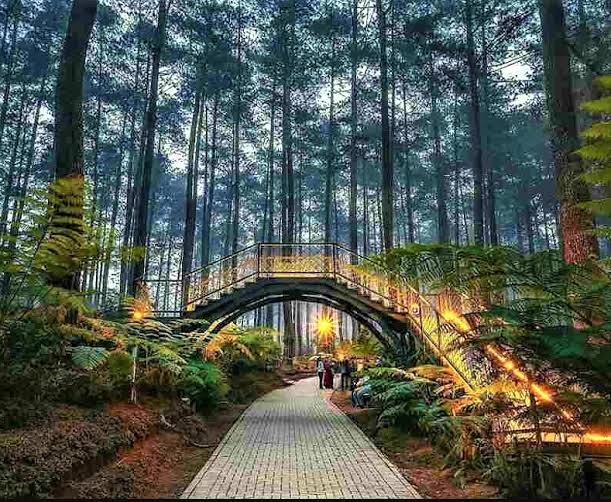 Tempat Wisata Alam Terindah di Dunia: Pernikahan Harmoni Antara Keindahan dan Keajaiban Alam