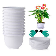 What stores carry walmart gift cards? 10 Pack 6 Inch Plastic Round Drainage Plant Pots Containers With Saucers Trays For Indoor And Outdoor Herbs Succulents Cactus And Flowers Walmart Com Walmart Com