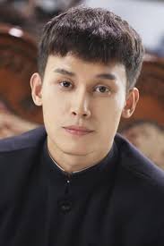 Streaming 黑狐之风影Season 1