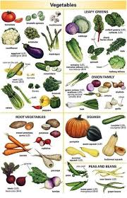 Transport Name Fruits Name Flowers Name Shapes Pictures Animals Name Vegetables Flowers Name English Vocabulary English Language Learning Learn English