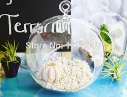 Shop with afterpay on eligible items. 6 Large Glass Orb Terrarium Indoor Planter Succulent Garden Hanging Glass Pots For Home Decor Garden Decoration Gifts For Mom Glass Pot Indoor Planterterrarium Large Aliexpress