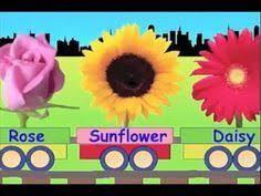 Learn Flower Train Learning For Kids Paper Flowers For Kids Flowers Name In English Flower Wallpaper