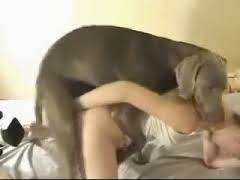 17,379 cachorro comendo mulher free videos found on xvideos for this search. Coroa Goza Com Cachorro Comendo Seu Cu Zoofilia Gratis